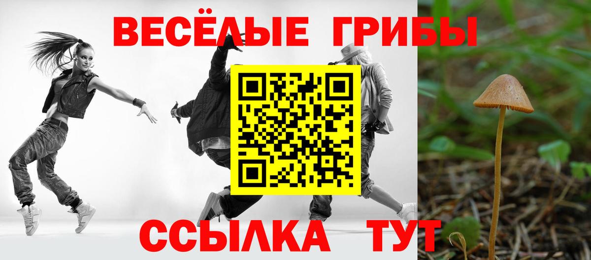 Галлюциногенные грибы ЛСД  Вход с VPN  как найти закладки  Клин  Галлюциногенные грибы мицелий 